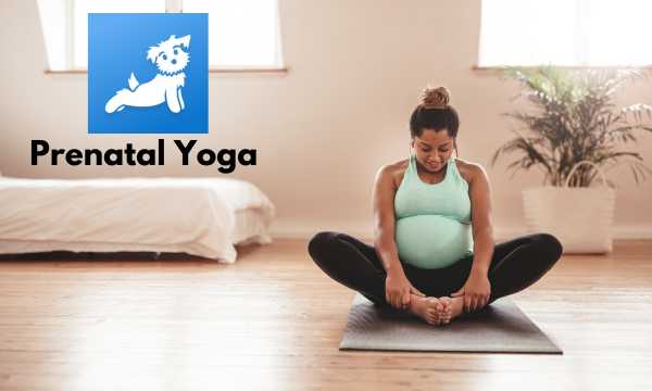 Prenatal Yoga App Down Dog: Benefits and Tips for Expecting Mom