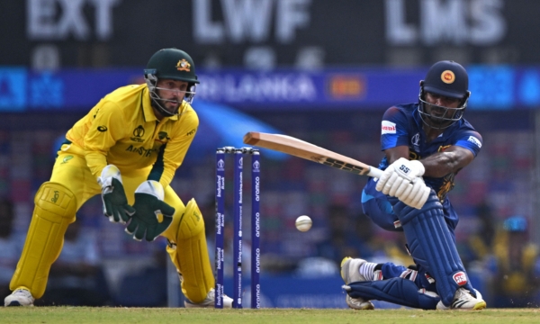 Apps to Never Miss a Live Cricket Match
